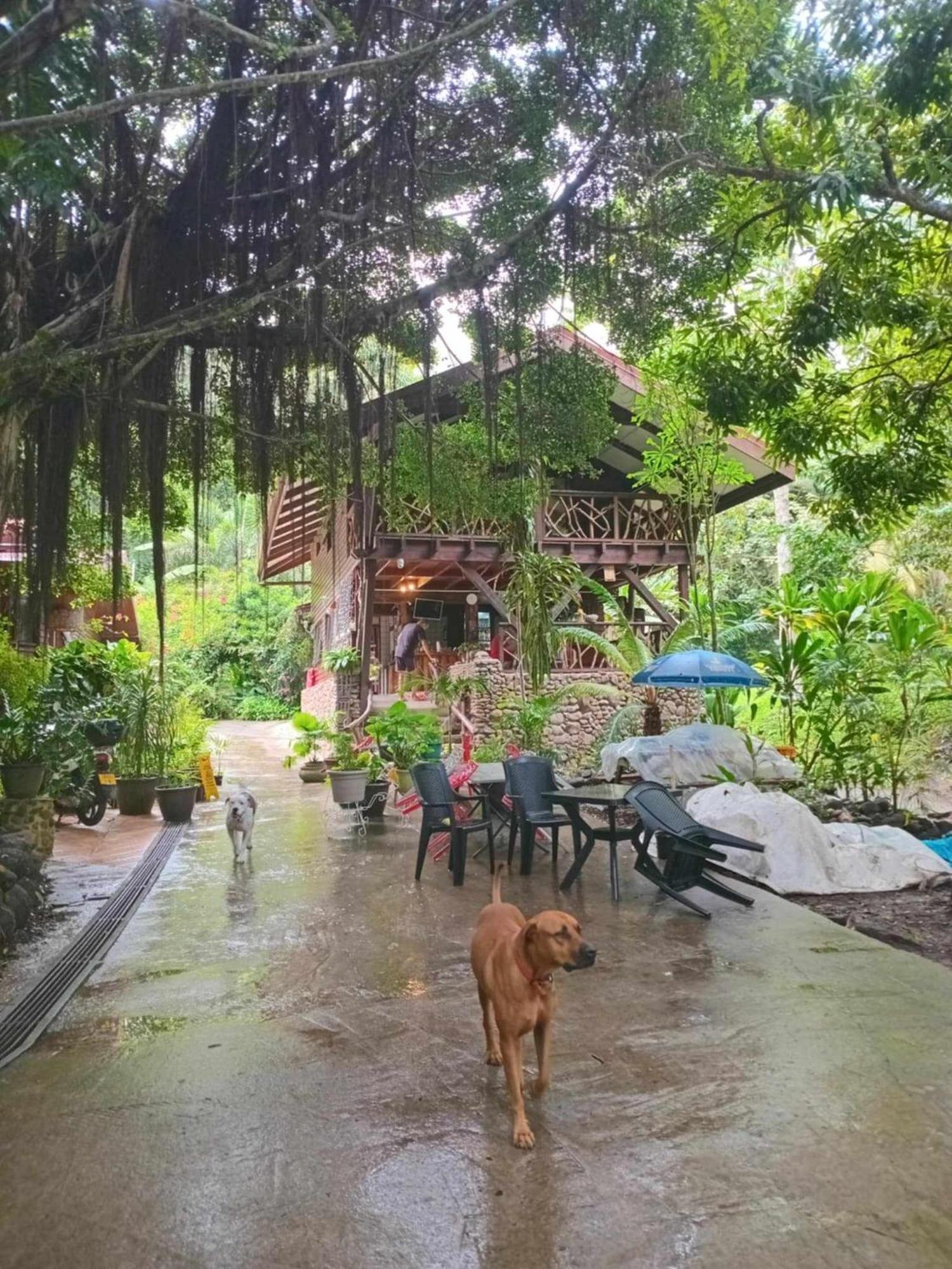 Haere Mai I Te Fare Hotel Teavaro ภายนอก รูปภาพ
